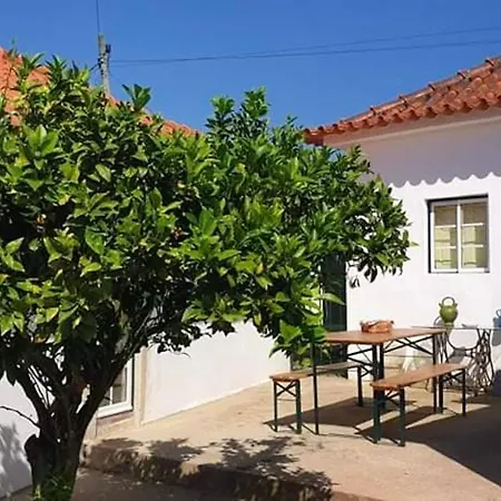 Вилла 3 Bedrooms With Furnished Garden And Wifi At 9 Km Away From The Beach Алкобаса